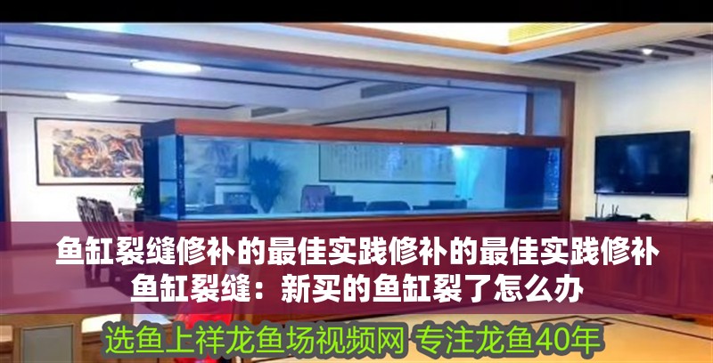 魚缸裂縫修補的最佳實踐修補的最佳實踐修補魚缸裂縫：新買的魚缸裂了怎么辦
