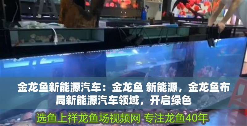 金龍魚新能源汽車：金龍魚 新能源，金龍魚布局新能源汽車領(lǐng)域，開啟綠色 金龍魚新能源汽車：金龍魚 新能源，金龍魚布局新能源汽車領(lǐng)域，開啟綠色 水族問答
