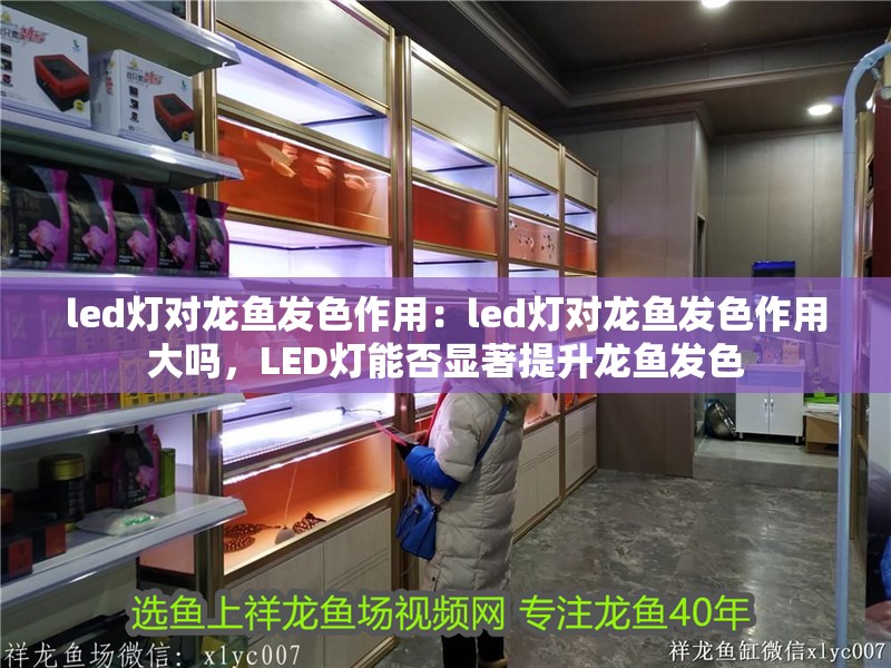 led燈對龍魚發色作用:led燈對龍魚發色作用大嗎,LED燈能否顯著提升龍魚發色 水族問答 led燈對龍魚發色作用:led燈對龍魚發色作用大嗎,LED燈能否顯著提升龍魚發色 led燈對龍魚發色作用:led燈對龍魚發色作用大嗎,LED燈能否顯著提升龍魚發色 水族問答