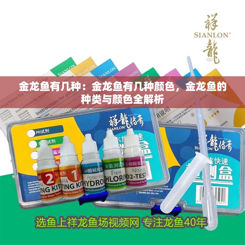 金龍魚有幾種：金龍魚有幾種顏色，金龍魚的種類與顏色全解析