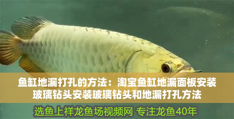 魚缸地漏打孔的方法：淘寶魚缸地漏面板安裝玻璃鉆頭安裝玻璃鉆頭和地漏打孔方法