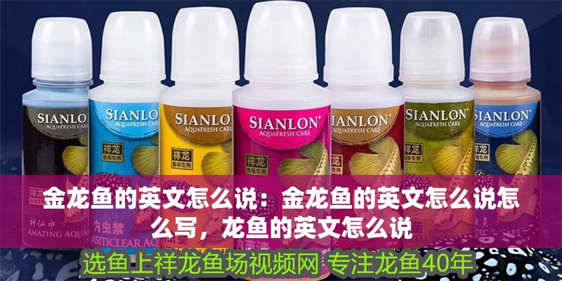 金龍魚的英文怎么說：金龍魚的英文怎么說怎么寫，龍魚的英文怎么說