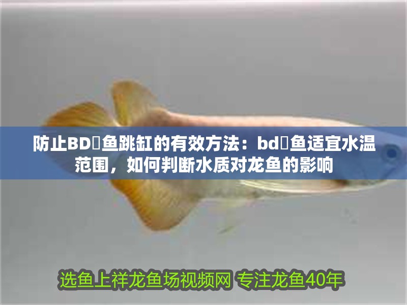防止BD魟魚跳缸的有效方法：bd魟魚適宜水溫范圍，如何判斷水質對龍魚的影響