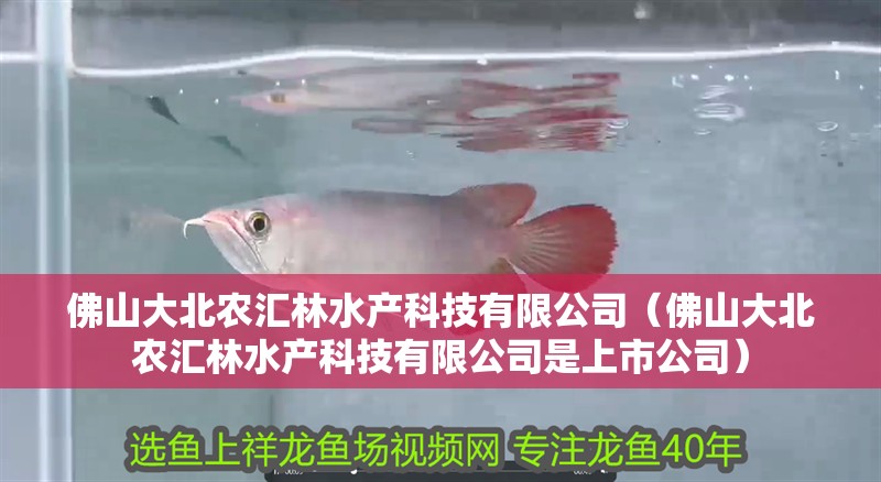 佛山大北農(nóng)匯林水產(chǎn)科技有限公司（佛山大北農(nóng)匯林水產(chǎn)科技有限公司是上市公司） 佛山大北農(nóng)匯林水產(chǎn)科技有限公司（佛山大北農(nóng)匯林水產(chǎn)科技有限公司是上市公司） 全國(guó)水族館企業(yè)名錄 第2張