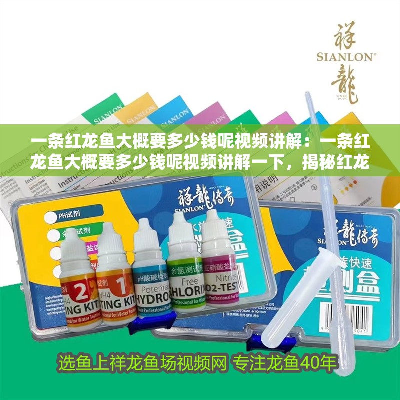 一條紅龍魚大概要多少錢呢視頻講解：一條紅龍魚大概要多少錢呢視頻講解一下，揭秘紅龍魚價格，一條究竟要多少錢