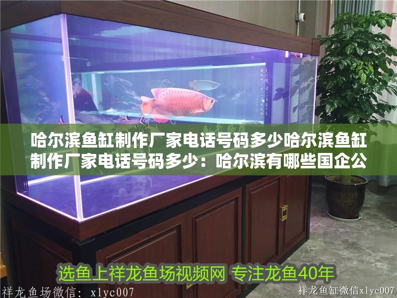 哈爾濱魚(yú)缸制作廠(chǎng)家電話(huà)號(hào)碼多少哈爾濱魚(yú)缸制作廠(chǎng)家電話(huà)號(hào)碼多少：哈爾濱有哪些國(guó)企公司？