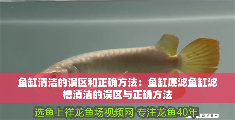 魚缸清潔的誤區和正確方法：魚缸底濾魚缸濾槽清潔的誤區與正確方法