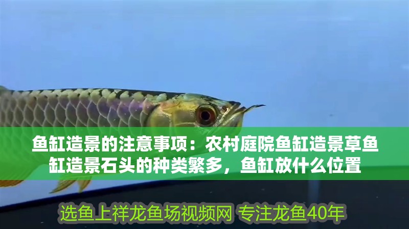 魚缸造景的注意事項：農村庭院魚缸造景草魚缸造景石頭的種類繁多，魚缸放什么位置