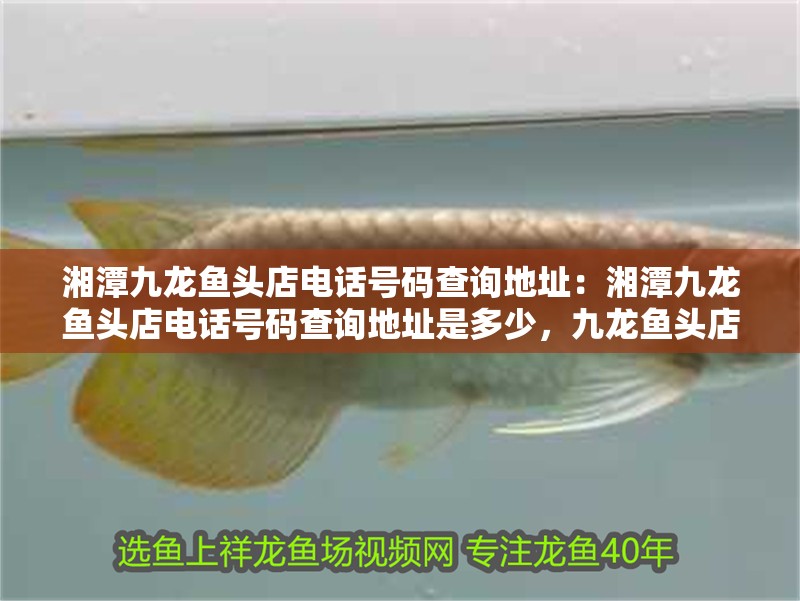 <strong><mark>湘潭</mark></strong>九龍魚頭店電話號碼查詢地址：<strong><mark>湘潭</mark></strong>九龍魚頭店電話號碼查詢地址是多少，九龍魚頭店聯系方式