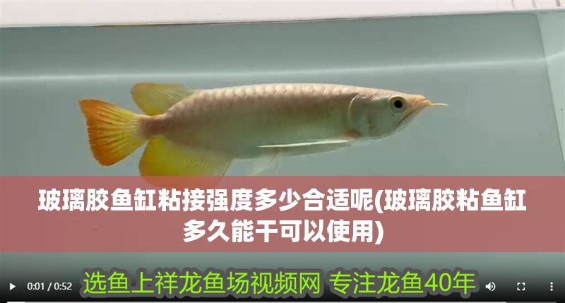 玻璃膠魚缸粘接強度多少合適呢(玻璃膠粘魚缸多久能干可以使用)