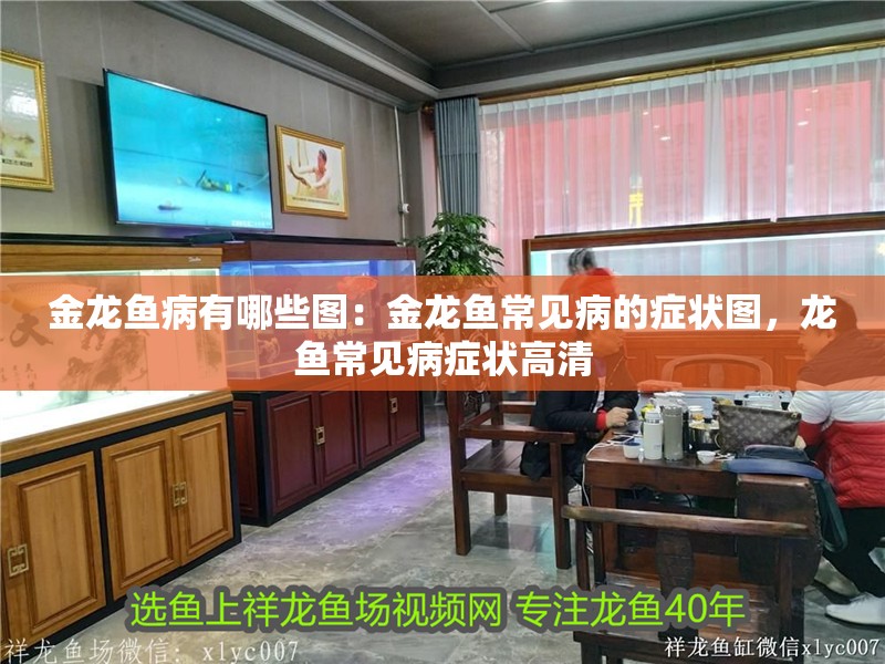 金龍魚病有哪些圖：金龍魚常見病的癥狀圖，龍魚常見病癥狀高清