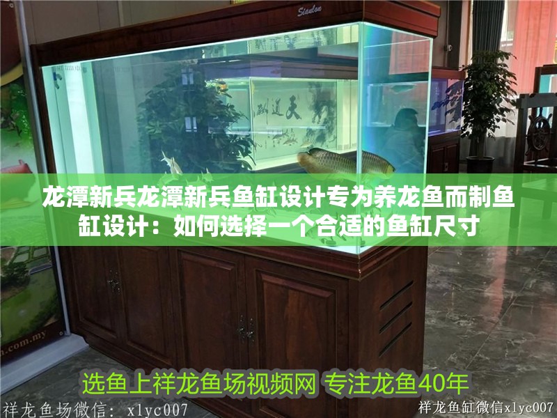 龍潭新兵龍潭新兵魚缸設計專為養龍魚而制魚缸設計：如何選擇一個合適的魚缸尺寸
