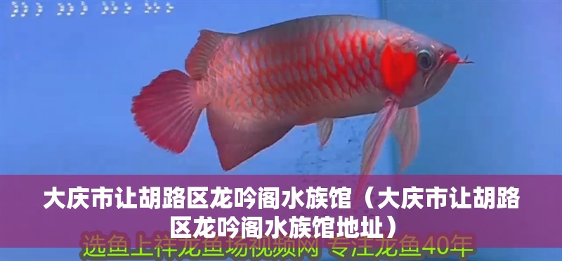 大慶市讓胡路區龍吟閣水族館（大慶市讓胡路區龍吟閣水族館地址） 大慶市讓胡路區龍吟閣水族館（大慶市讓胡路區龍吟閣水族館地址） 全國水族館企業名錄 第2張