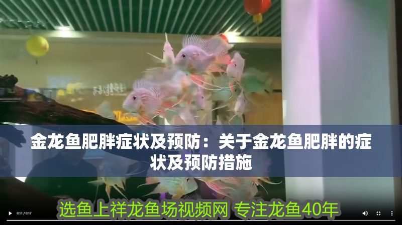 金龍魚肥胖癥狀及預防:關于金龍魚肥胖的癥狀及預防措施 金龍魚百科 第2張 金龍魚肥胖癥狀及預防:關于金龍魚肥胖的癥狀及預防措施 金龍魚肥胖癥狀及預防:關于金龍魚肥胖的癥狀及預防措施 金龍魚百科 第2張