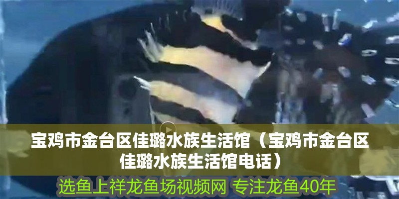 寶雞市金臺區佳璐水族生活館（寶雞市金臺區佳璐水族生活館電話） 寶雞市金臺區佳璐水族生活館（寶雞市金臺區佳璐水族生活館電話） 全國水族館企業名錄 第2張