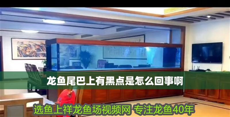 龍魚尾巴上有黑點是怎么回事啊