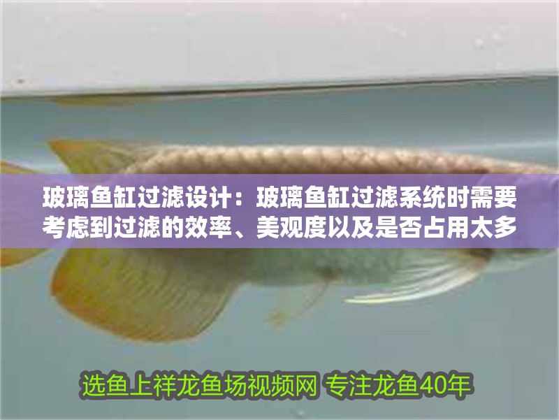玻璃魚缸過濾設計：玻璃魚缸過濾系統時需要考慮到過濾的效率、美觀度以及是否占用太多的空間