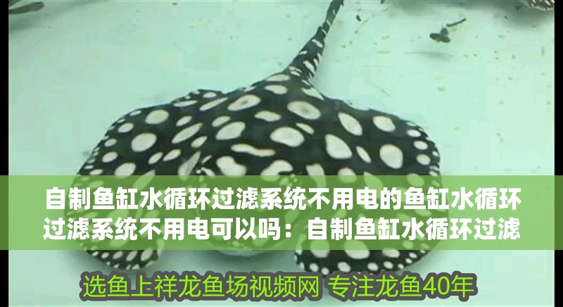 自制魚缸水循環(huán)過濾系統(tǒng)不用電的魚缸水循環(huán)過濾系統(tǒng)不用電可以嗎：自制魚缸水循環(huán)過濾系統(tǒng)不用電可以嗎 自制魚缸水循環(huán)過濾系統(tǒng)不用電的魚缸水循環(huán)過濾系統(tǒng)不用電可以嗎：自制魚缸水循環(huán)過濾系統(tǒng)不用電可以嗎 魚缸百科