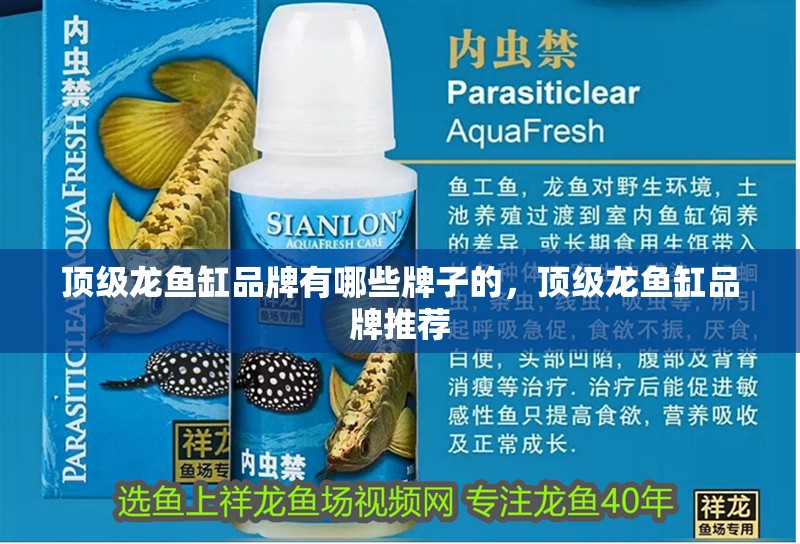 頂級龍魚缸品牌有哪些牌子的，頂級龍魚缸品牌推薦