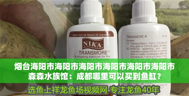 煙臺海陽市海陽市海陽市海陽市海陽市海陽市森森水族館：成都哪里可以買到魚缸？