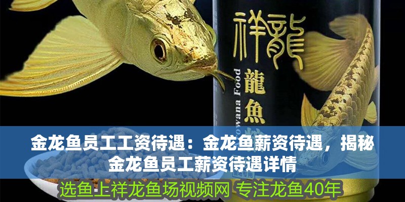 金龍魚員工工資待遇：金龍魚薪資待遇，揭秘金龍魚員工薪資待遇詳情
