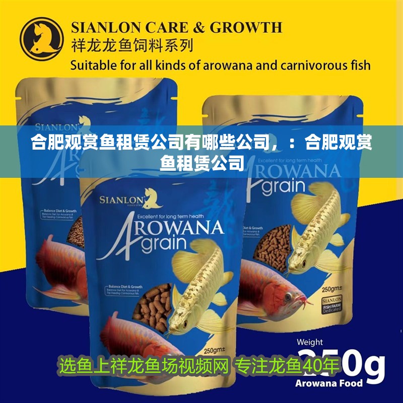 合肥觀賞魚租賃公司有哪些公司，：合肥觀賞魚租賃公司