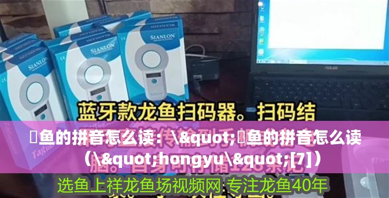 魟魚的拼音怎么讀：\"魟魚的拼音怎么讀（\"hongyu\"[7]）