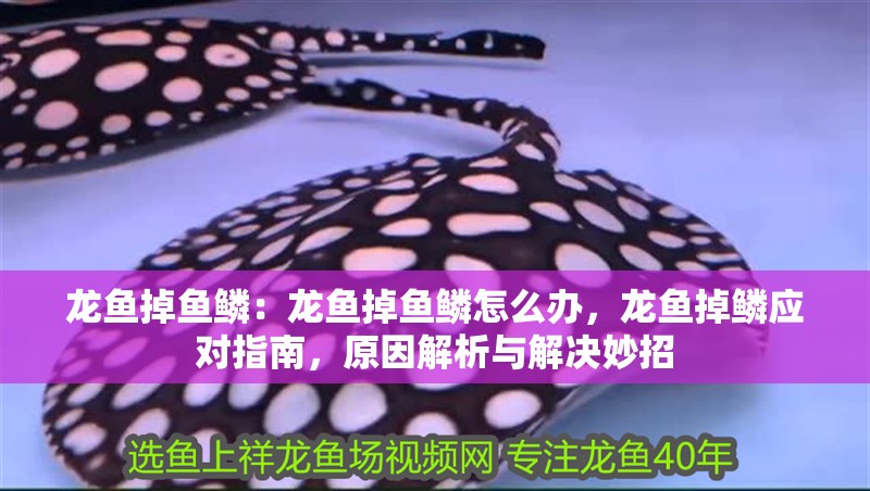 龍魚掉魚鱗：龍魚掉魚鱗怎么辦，龍魚掉鱗應對指南，原因解析與解決妙招