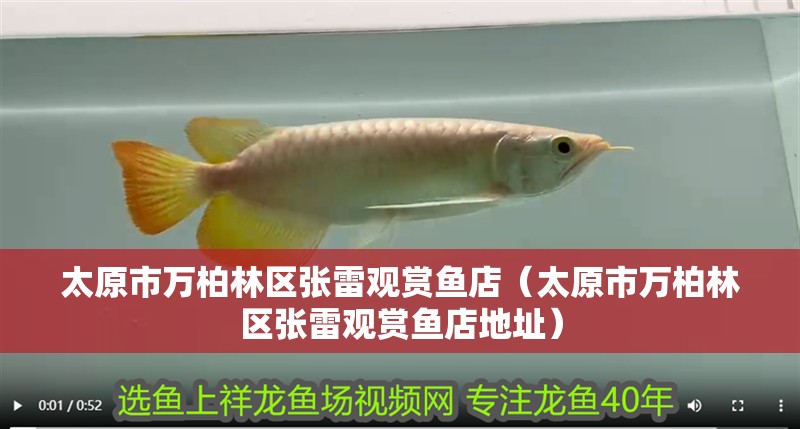 太原市萬柏林區張雷觀賞魚店（太原市萬柏林區張雷觀賞魚店地址）