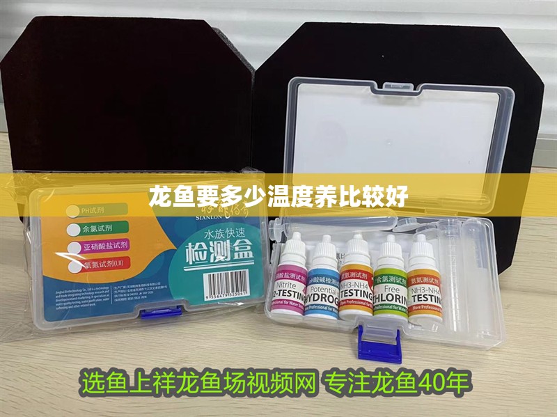 龍魚要多少溫度養比較好