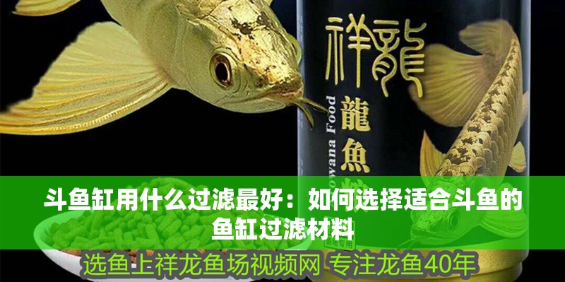 斗魚缸用什么過濾最好：如何選擇適合斗魚的魚缸過濾材料