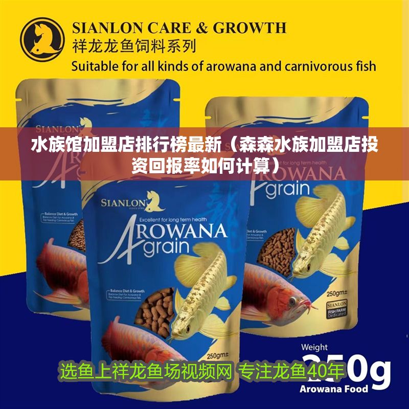 水族館加盟店排行榜最新（森森水族加盟店投資回報(bào)率如何計(jì)算）