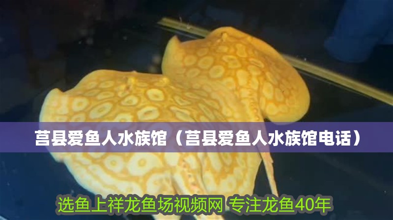 莒縣愛魚人水族館(莒縣愛魚人水族館電話) 全國水族館企業名錄 第2張 莒縣愛魚人水族館(莒縣愛魚人水族館電話) 莒縣愛魚人水族館(莒縣愛魚人水族館電話) 全國水族館企業名錄 第2張