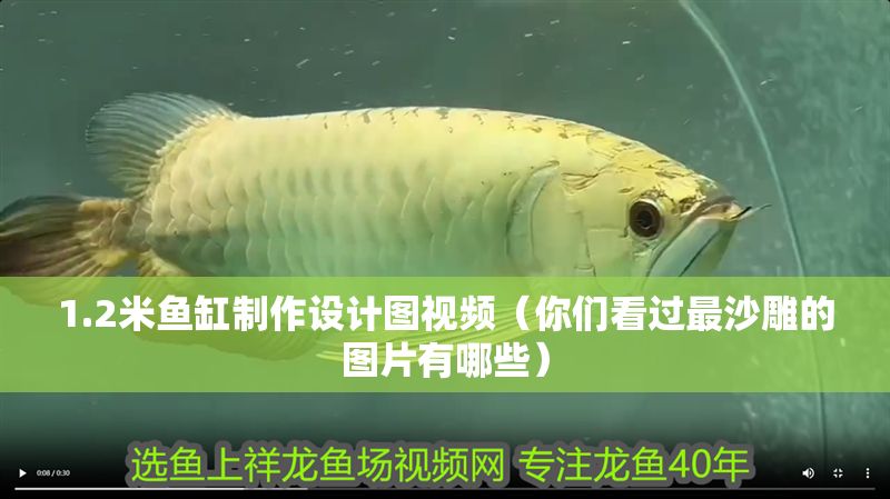 1.2米魚缸制作設計圖視頻（你們看過最沙雕的圖片有哪些）