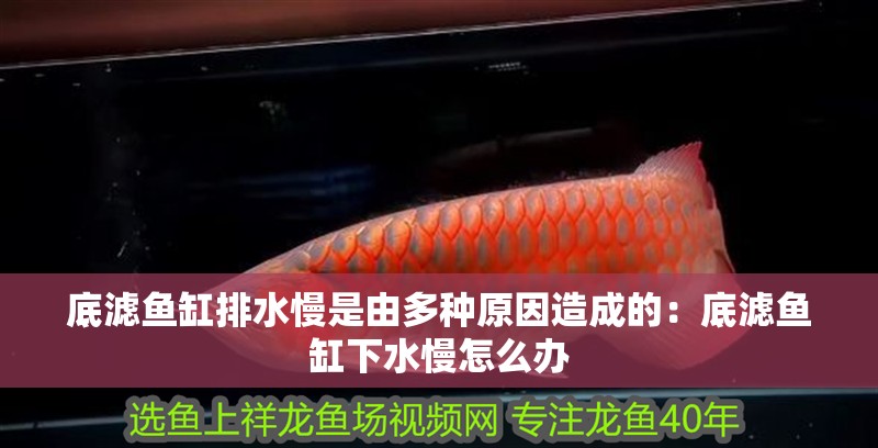 底濾魚缸排水慢是由多種原因造成的：底濾魚缸下水慢怎么辦
