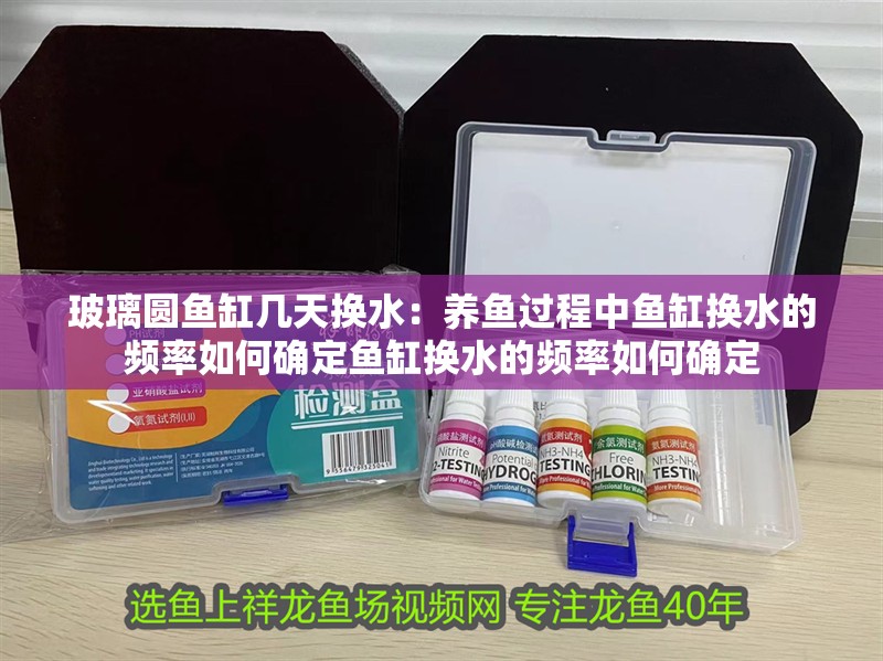 玻璃圓魚缸幾天換水：養(yǎng)魚過程中魚缸換水的頻率如何確定魚缸換水的頻率如何確定