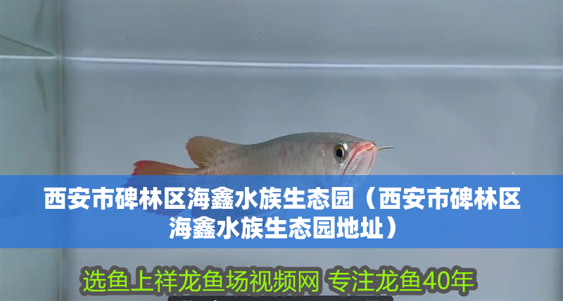 西安市碑林區(qū)海鑫水族生態(tài)園（西安市碑林區(qū)海鑫水族生態(tài)園地址） 西安市碑林區(qū)海鑫水族生態(tài)園（西安市碑林區(qū)海鑫水族生態(tài)園地址） 全國水族館企業(yè)名錄 第2張