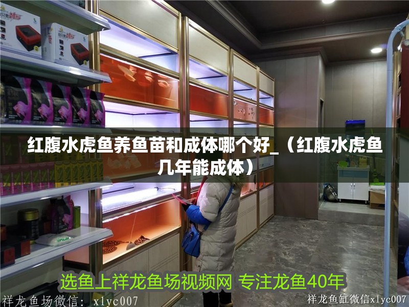 魚缸用增氧泵價格是多少:魚缸增氧機-xtrac增氧機-xtrac增氧機 紅腹水虎魚養(yǎng)魚苗和成體哪個好_(紅腹水虎魚幾年能成體) 虎魚百科 紅腹水虎魚養(yǎng)魚苗和成體哪個好_(紅腹水虎魚幾年能成體) 紅腹水虎魚養(yǎng)魚苗和成體哪個好_(紅腹水虎魚幾年能成體) 虎魚百科