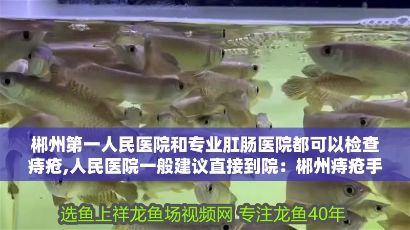 郴州第一人民醫院和專業肛腸醫院都可以檢查痔瘡,人民醫院一般建議直接到院：郴州痔瘡手術費用