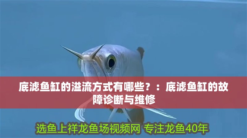 底濾魚缸的溢流方式有哪些？：底濾魚缸的故障診斷與維修 底濾魚缸的溢流方式有哪些？：底濾魚缸的故障診斷與維修 魚缸百科