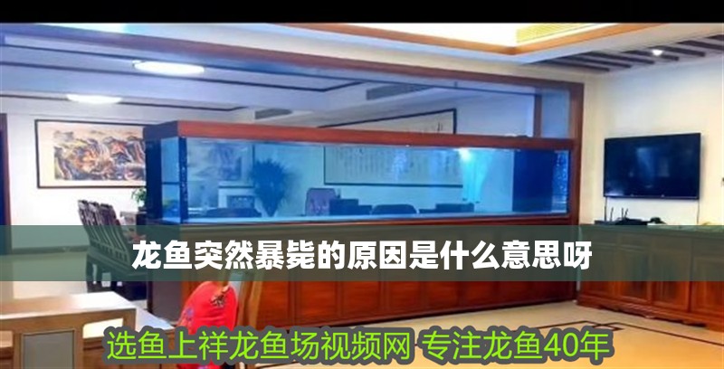 龍魚突然暴斃的原因是什么意思呀