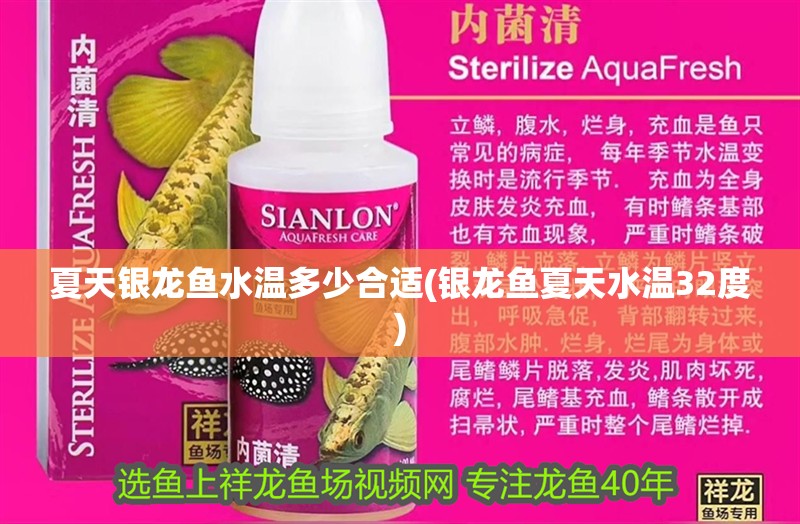 夏天銀龍魚水溫多少合適(銀龍魚夏天水溫32度)