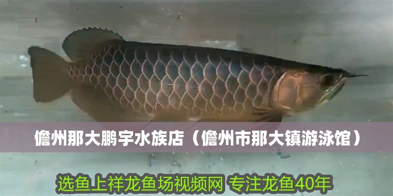 儋州那大鵬宇水族店（儋州市那大鎮游泳館）