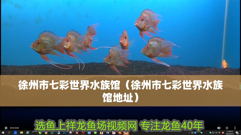 徐州市七彩世界水族館（徐州市七彩世界水族館地址）
