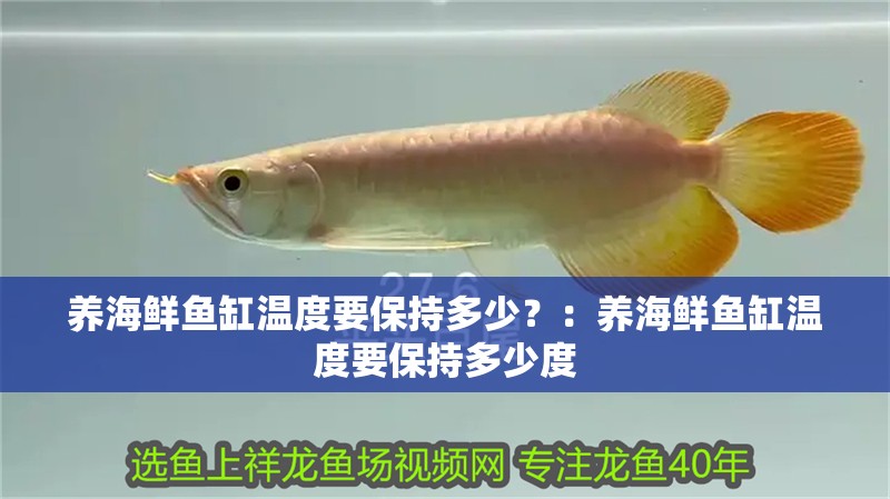 養(yǎng)海鮮魚(yú)缸溫度要保持多少？：養(yǎng)海鮮魚(yú)缸溫度要保持多少度