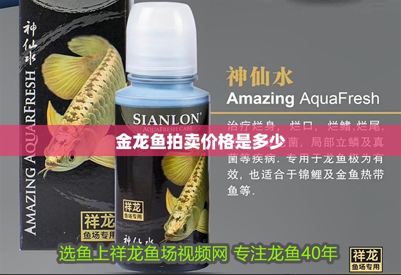 金龍魚拍賣價格是多少