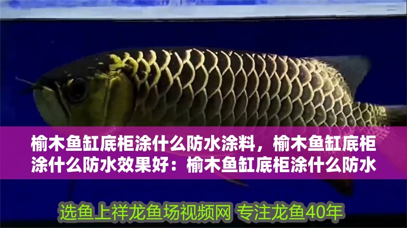 榆木魚缸底柜涂什么防水涂料，榆木魚缸底柜涂什么防水效果好：榆木魚缸底柜涂什么防水