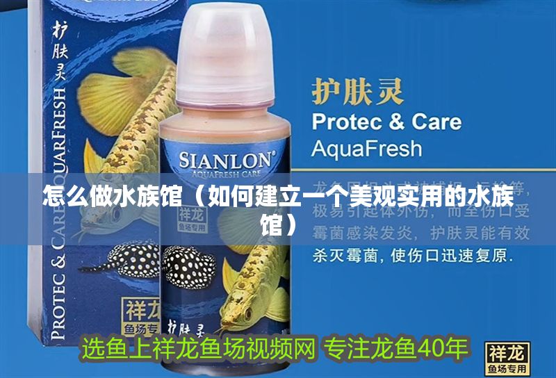 怎么做水族館（如何建立一個美觀實用的水族館）