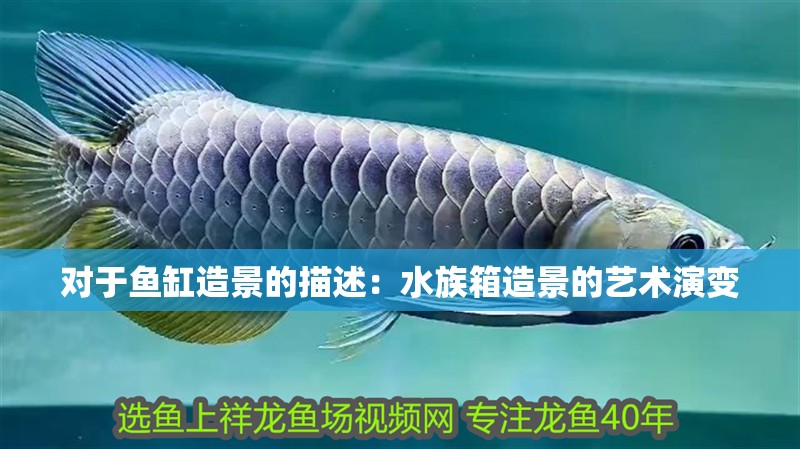 對于魚缸造景的描述：水族箱造景的藝術演變