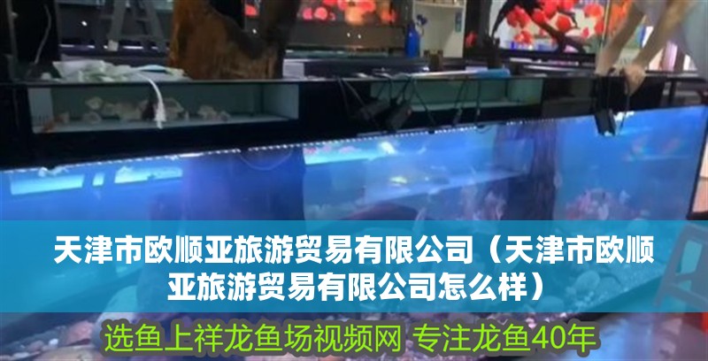 天津市歐順亞旅游貿(mào)易有限公司（天津市歐順亞旅游貿(mào)易有限公司怎么樣）